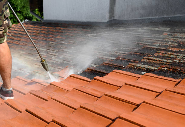 Local Pressure Washing Services in De Queen, AR