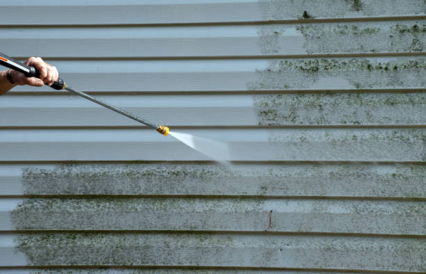 Best Roof Pressure Washing  in De Queen, AR